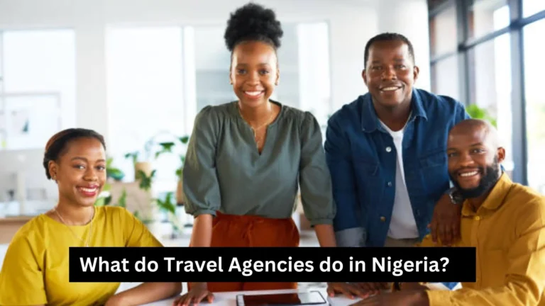 What do travel agencies do