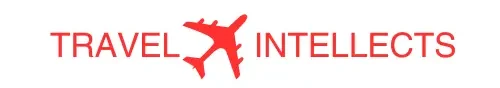 Travel intellects logo