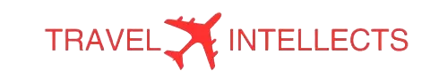 Travel intellects logo